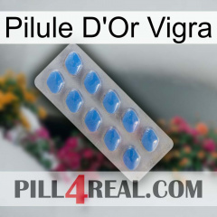 Vigra Gold Pill 22